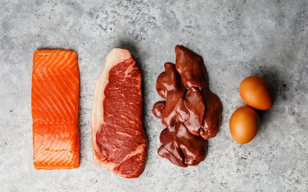 Why You Need a High (Animal) Protein Diet