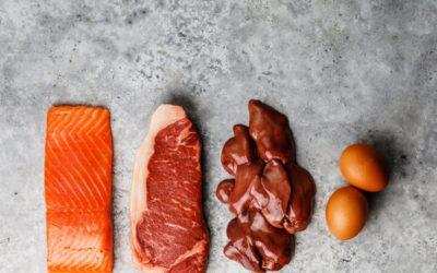 Why You Need a High (Animal) Protein Diet